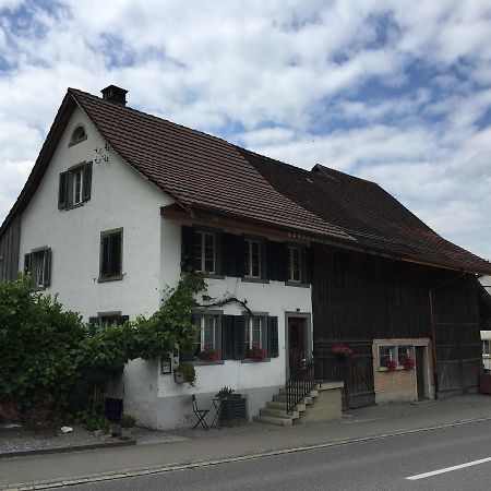 Airport Zuerich Elwiras B & B Lufingen Εξωτερικό φωτογραφία