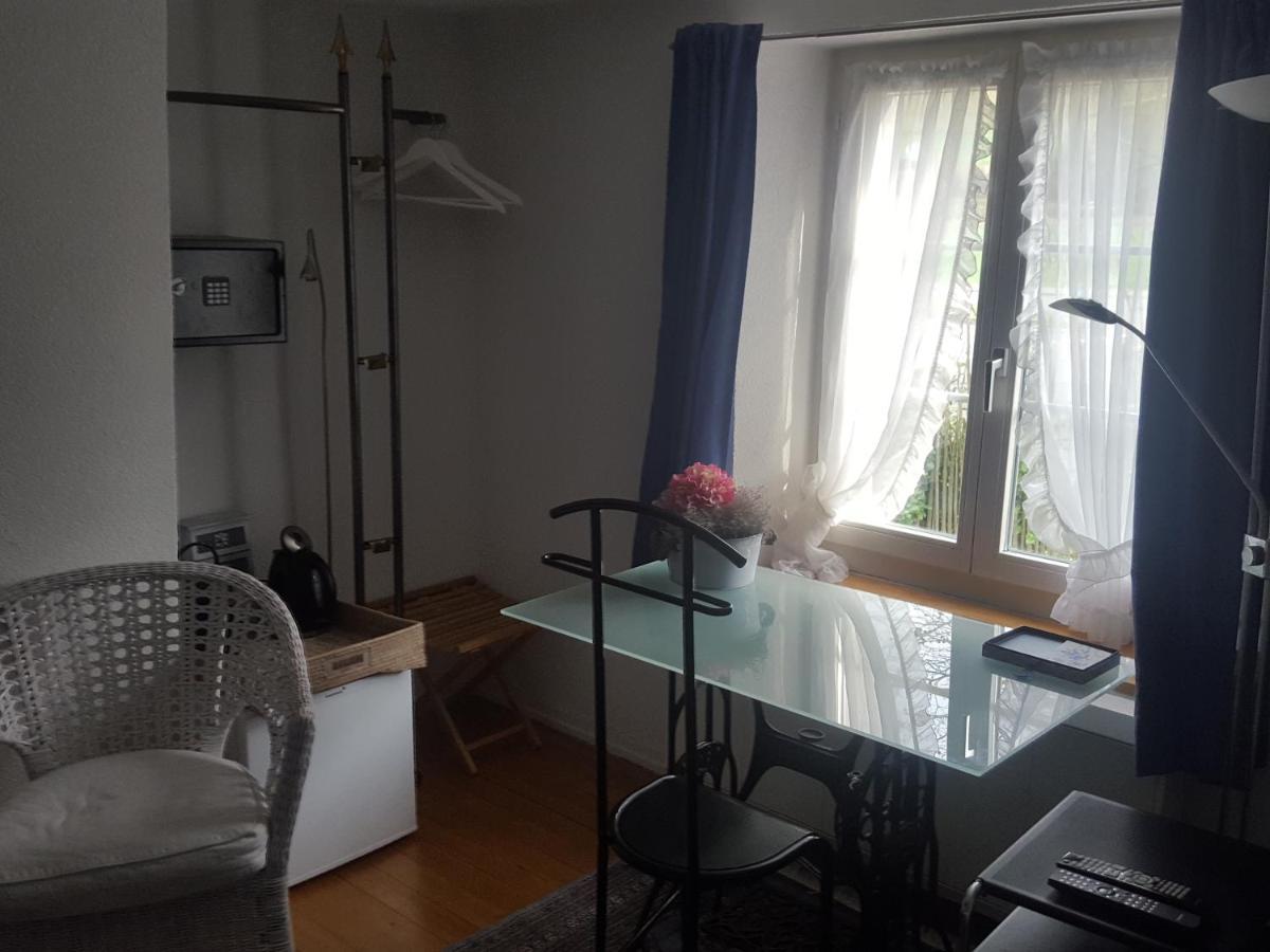Airport Zuerich Elwiras B & B Lufingen Εξωτερικό φωτογραφία