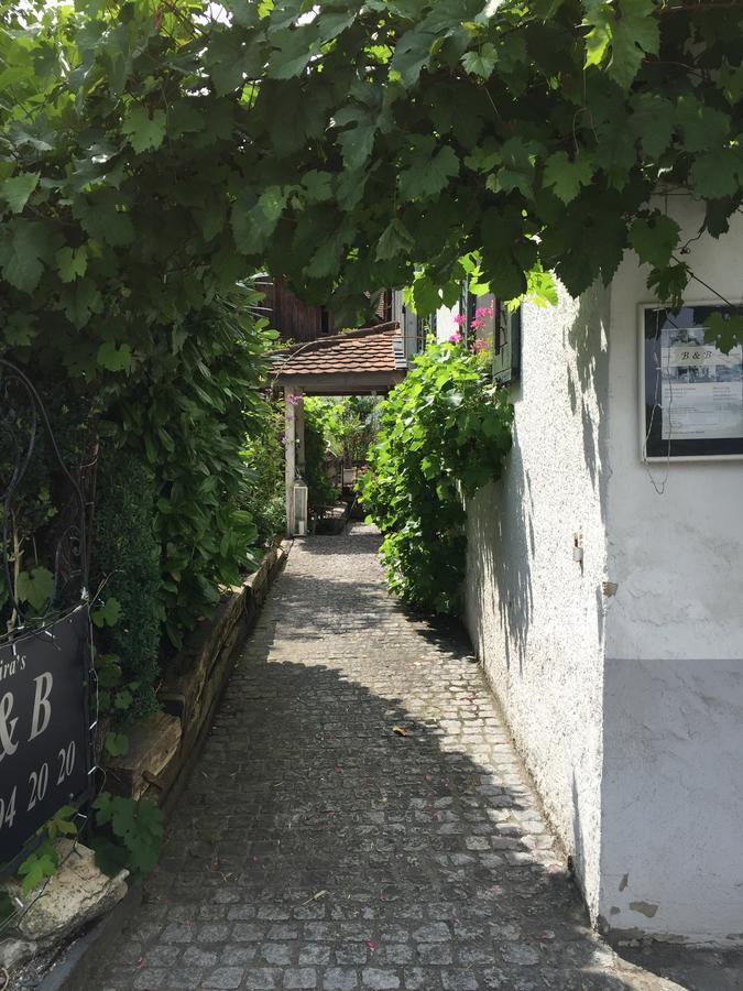 Airport Zuerich Elwiras B & B Lufingen Εξωτερικό φωτογραφία