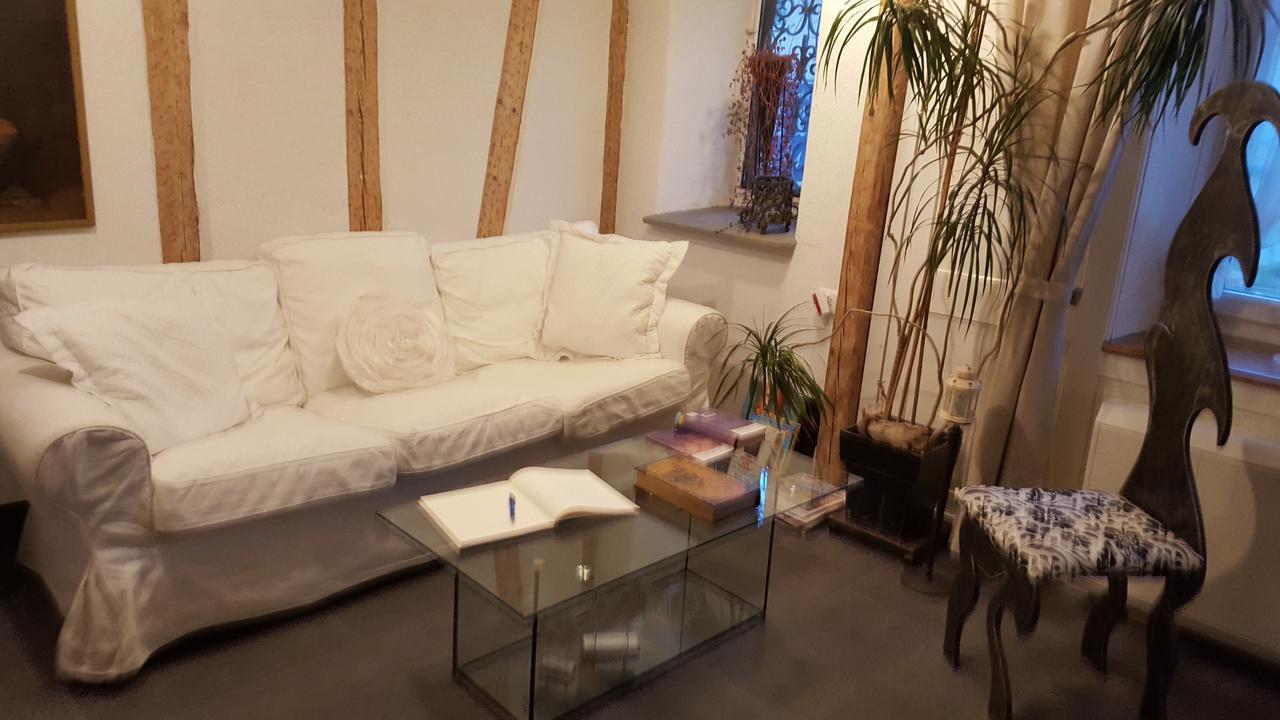 Airport Zuerich Elwiras B & B Lufingen Εξωτερικό φωτογραφία